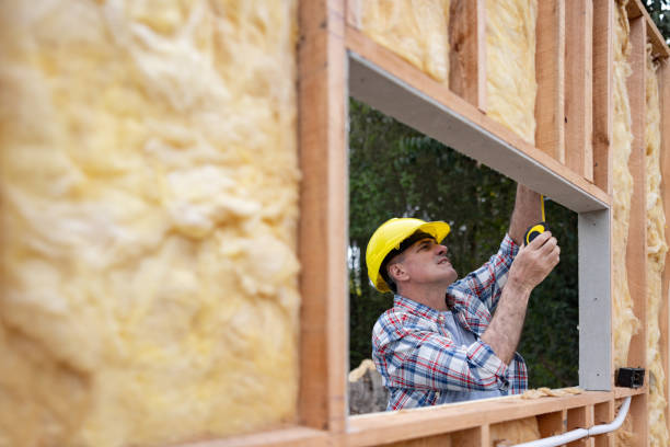 Best Spray Foam Insulation  in Onalaska, TX